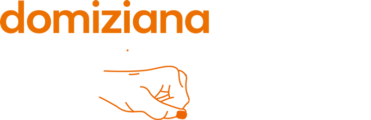 logo domiziana de fulvio